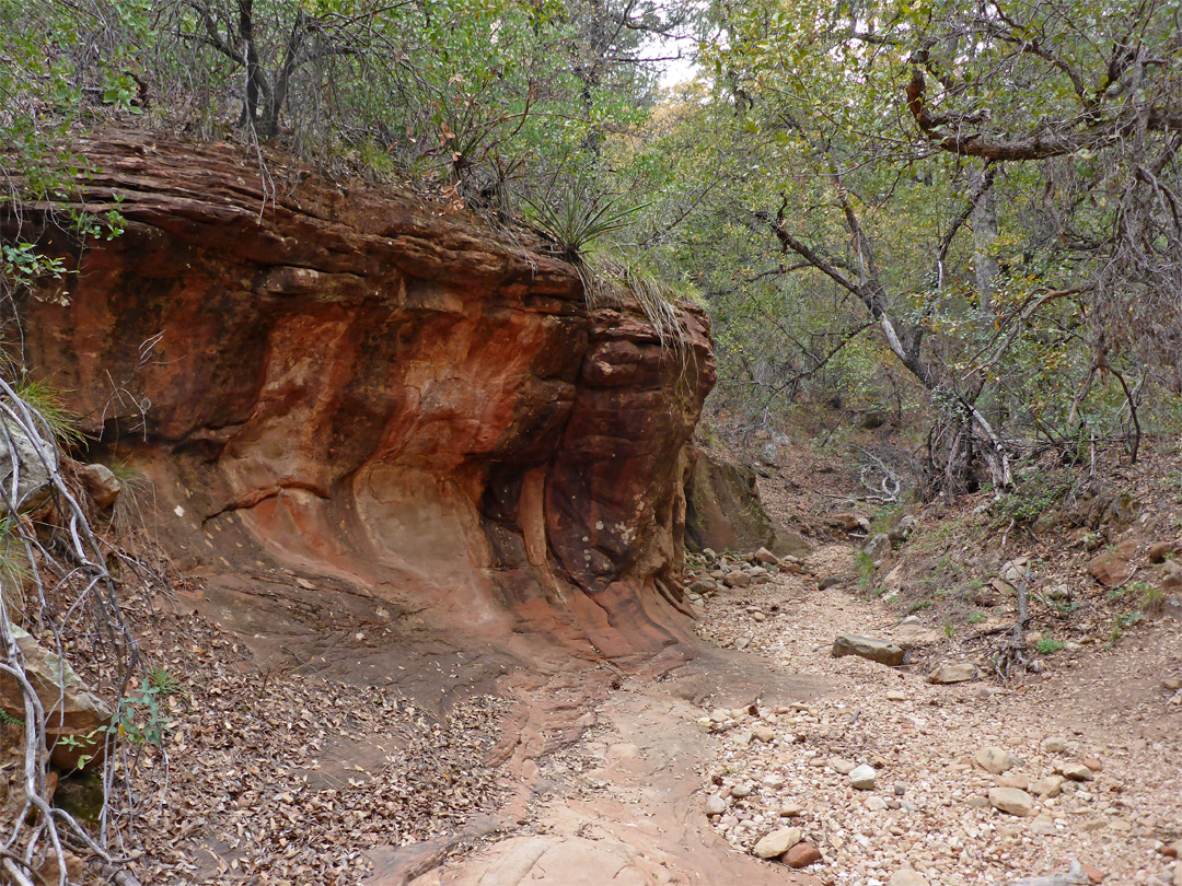 Dry streambed