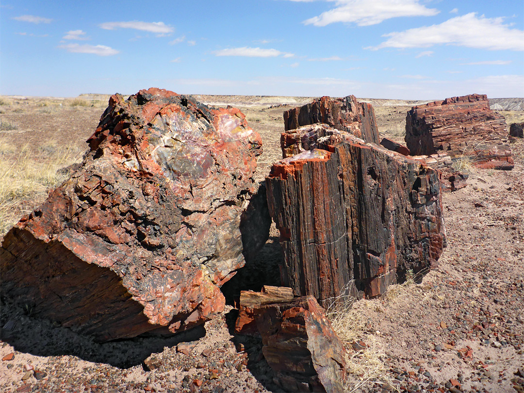 Cluster of red logs