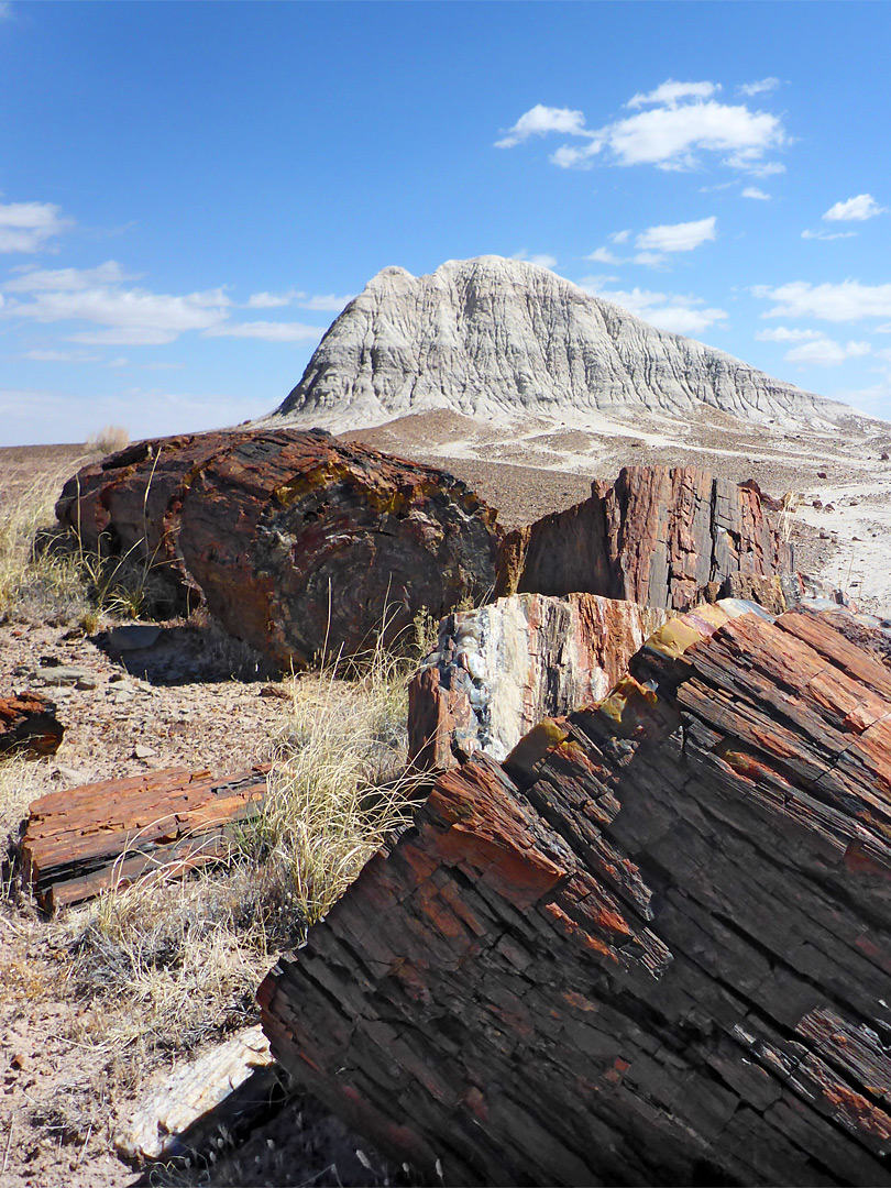 Logs and mound