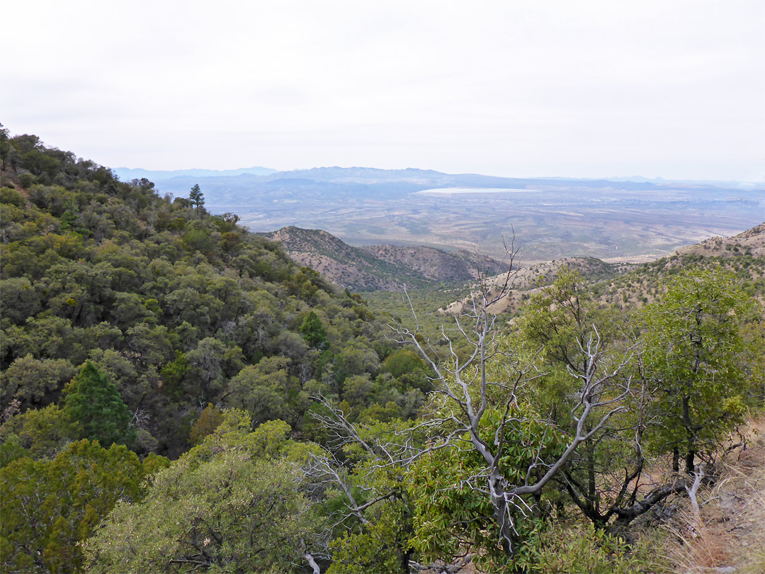 Mouth of the canyon