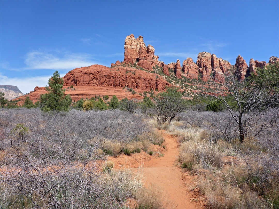 Flat section of the trail