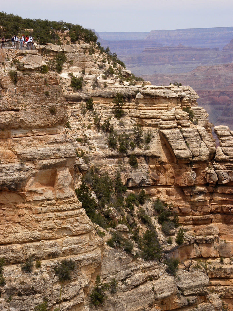 The canyon edge