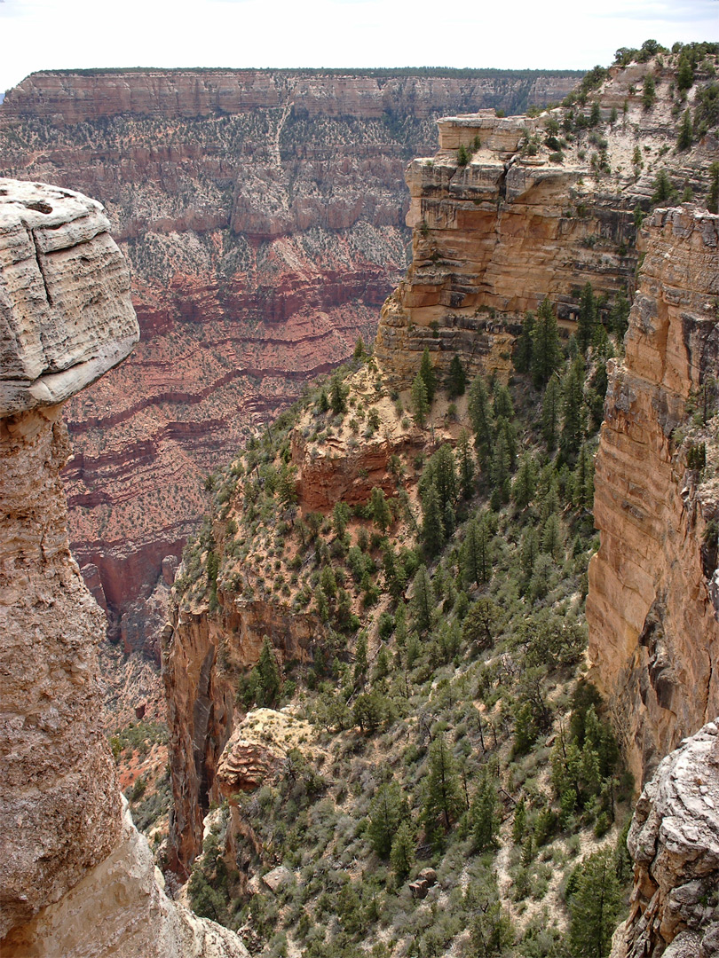 Cliffs east of Mather Point