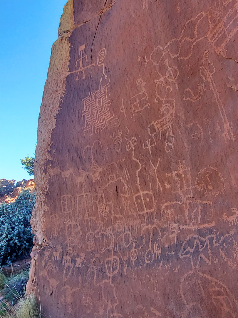 Many petroglyphs
