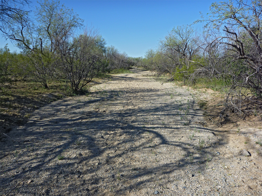 Wash near Mica View