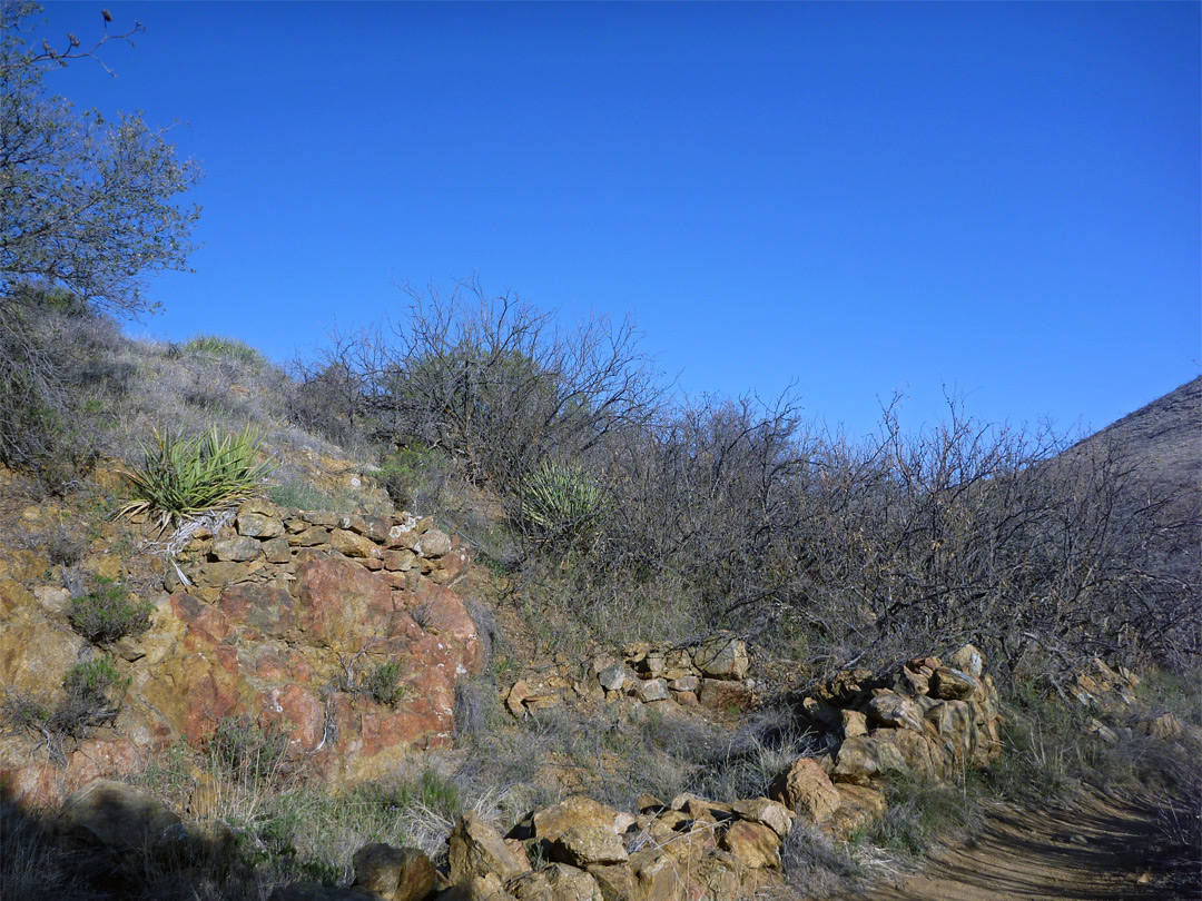 Ruins of a miner's cabin