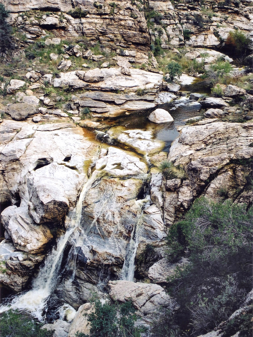 Dark-colored water