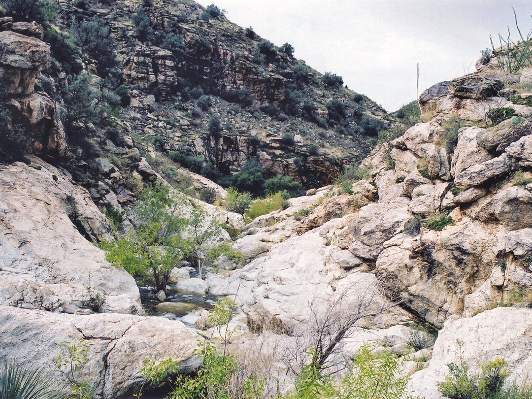 Molino Canyon
