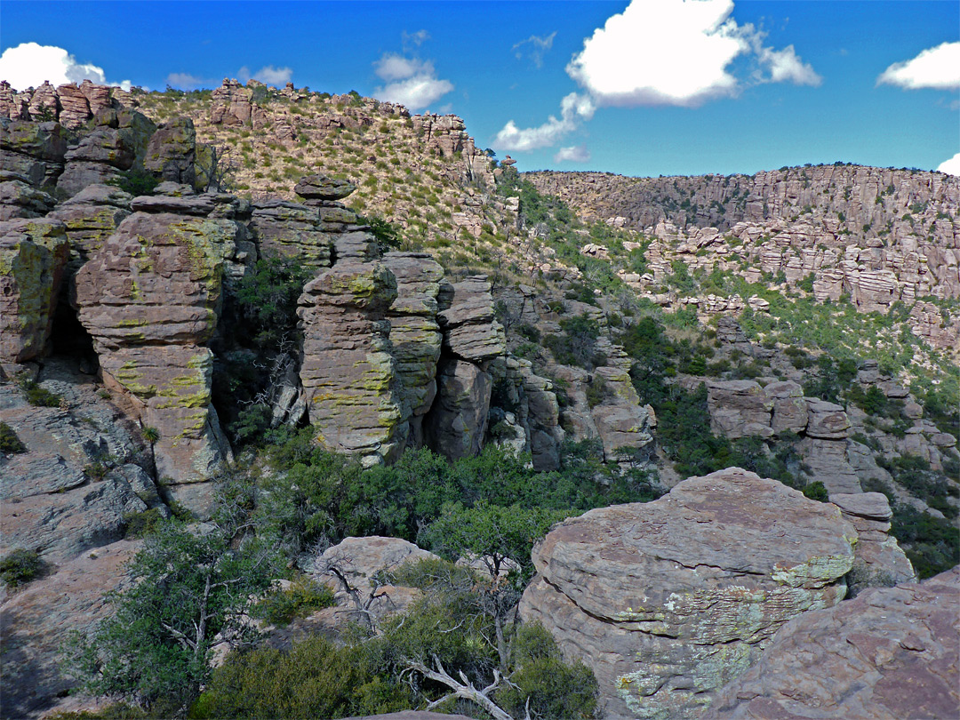 Lichen-covered formations