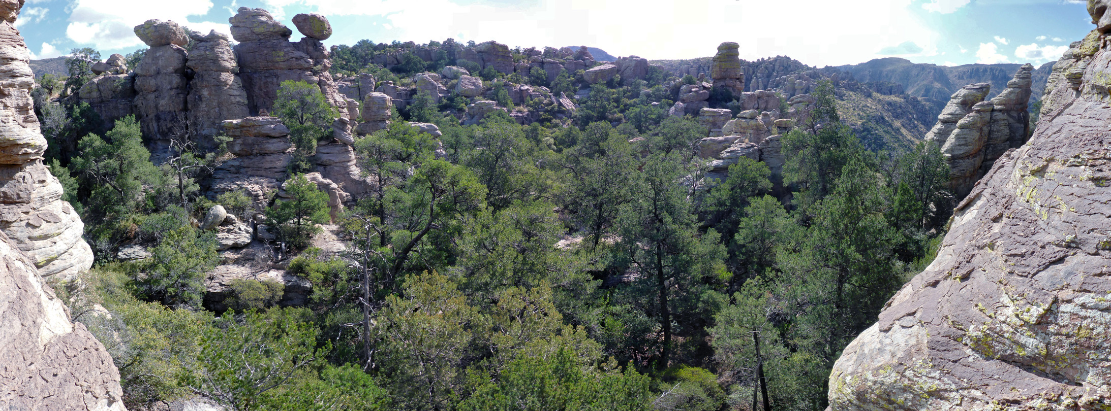 Pinnacles and trees