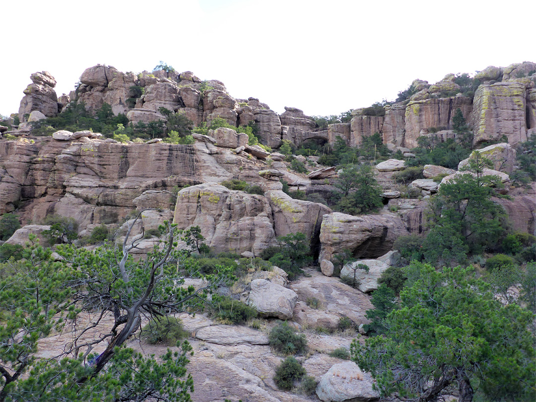 The bridge, from the viewpoint