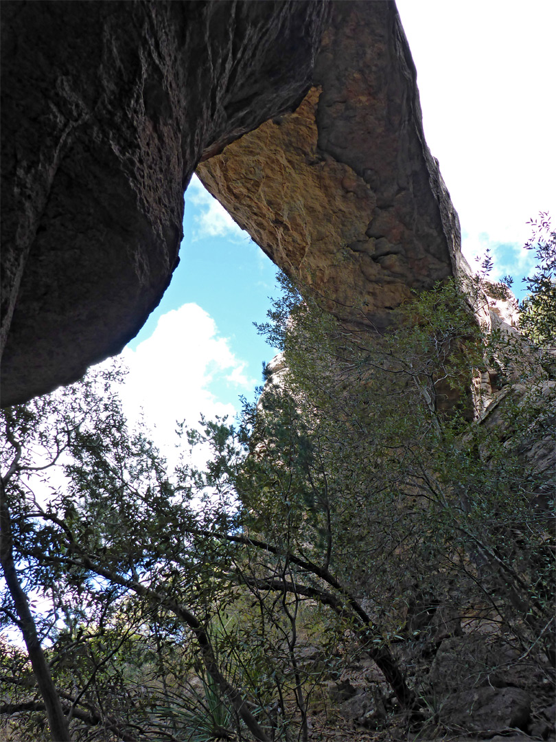 Beneath the bridge