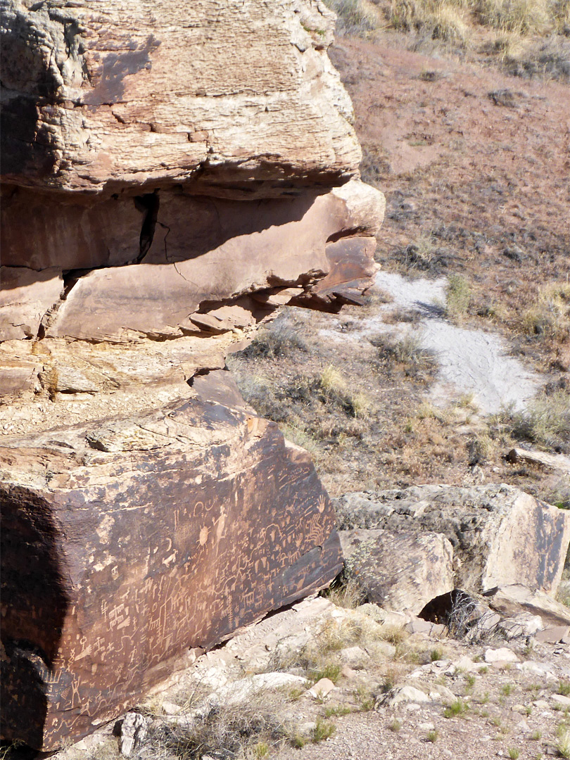 Many petroglyphs