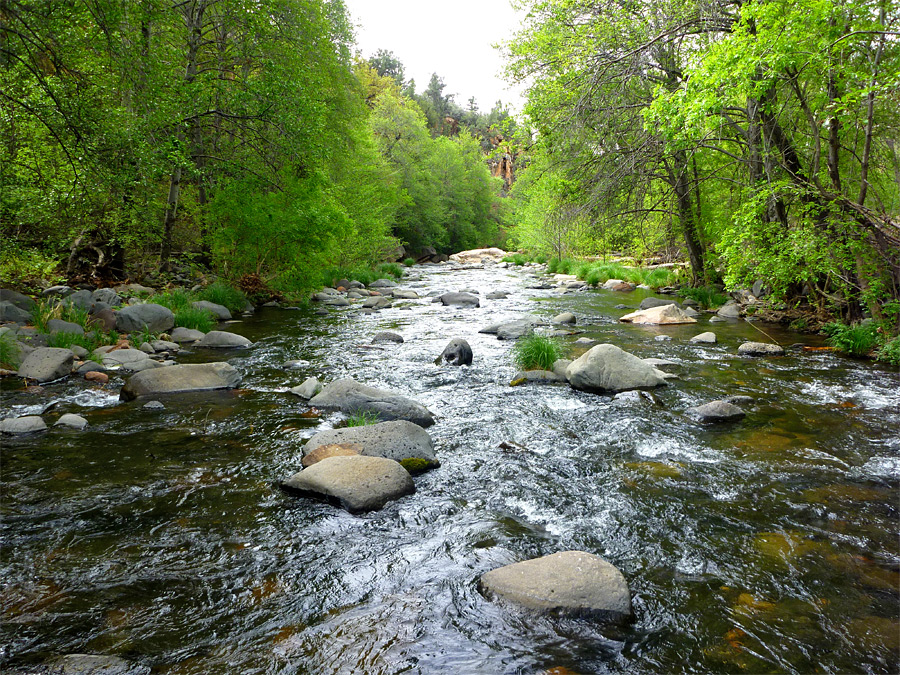 Oak Creek - downstream