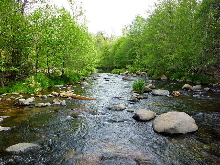 Oak Creek - upstream