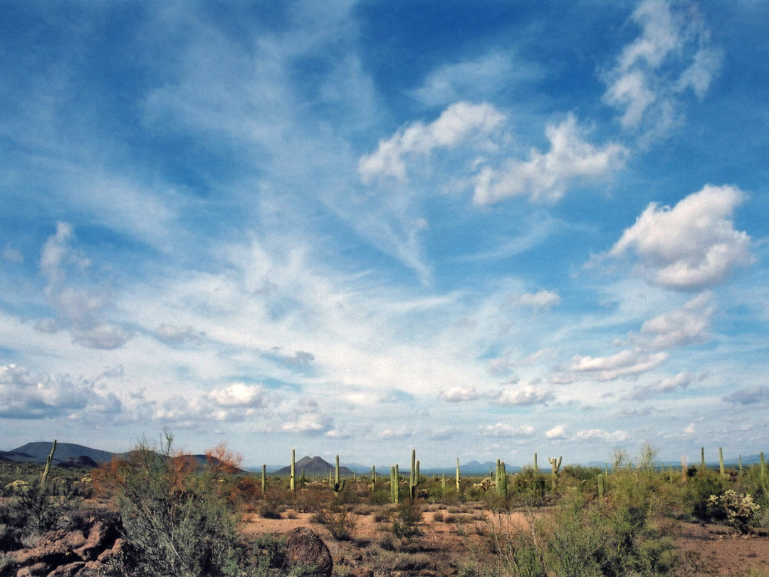 Desert sky