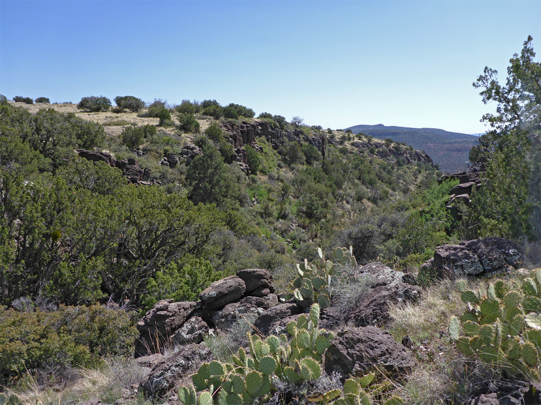 Basalt boulders beside a ravine