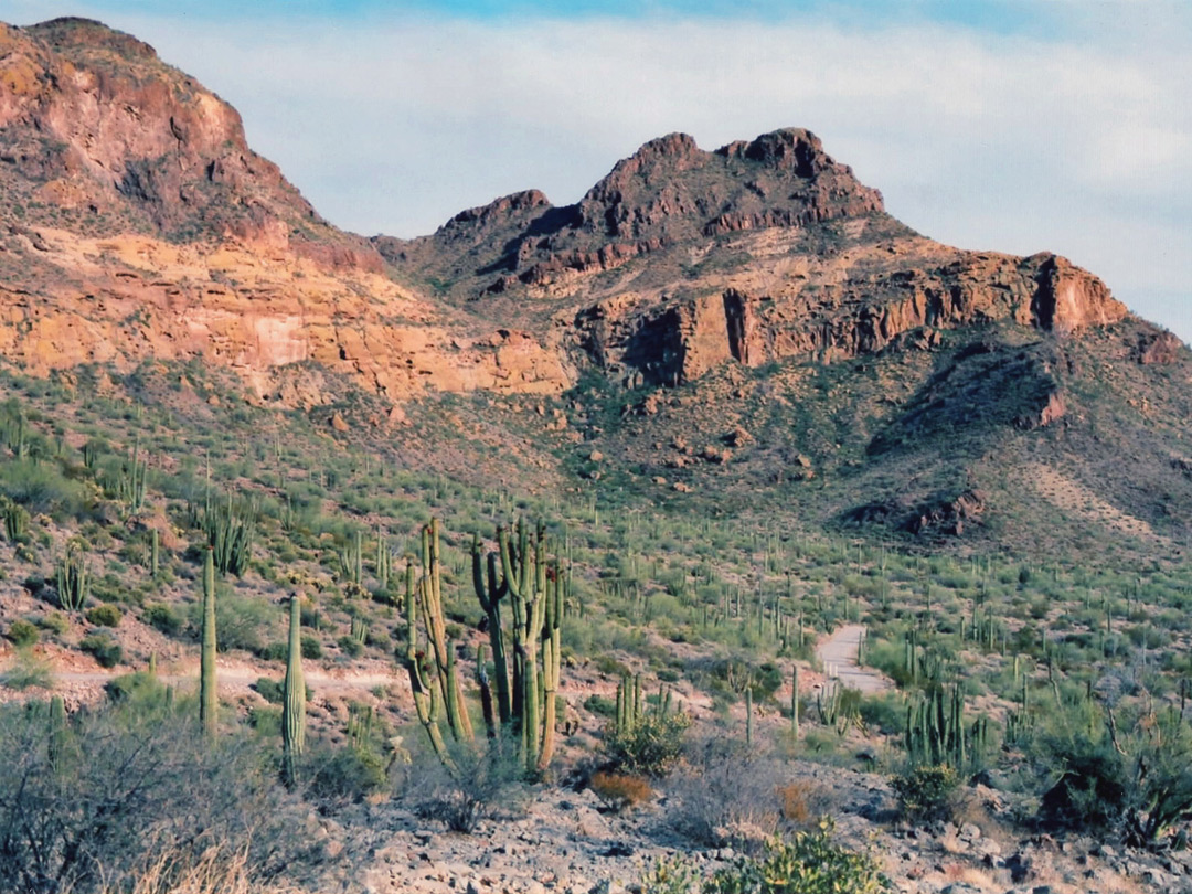 Ajo Mountains