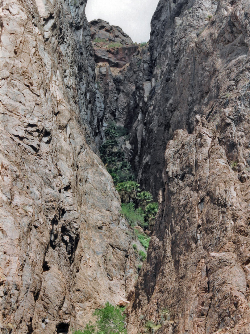 Cliffs of Palm Canyon