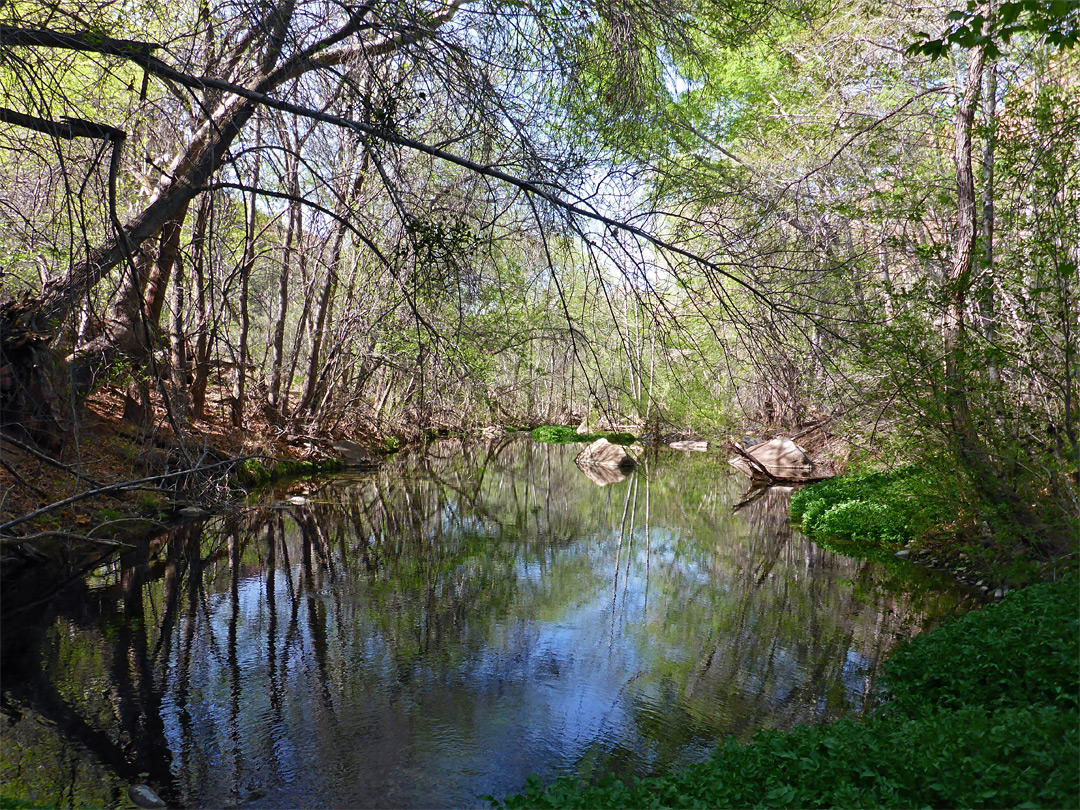 Parsons Spring