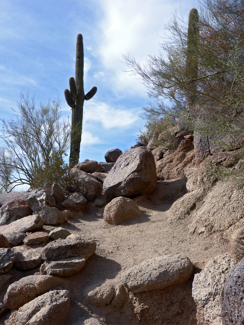 Boulders on the path