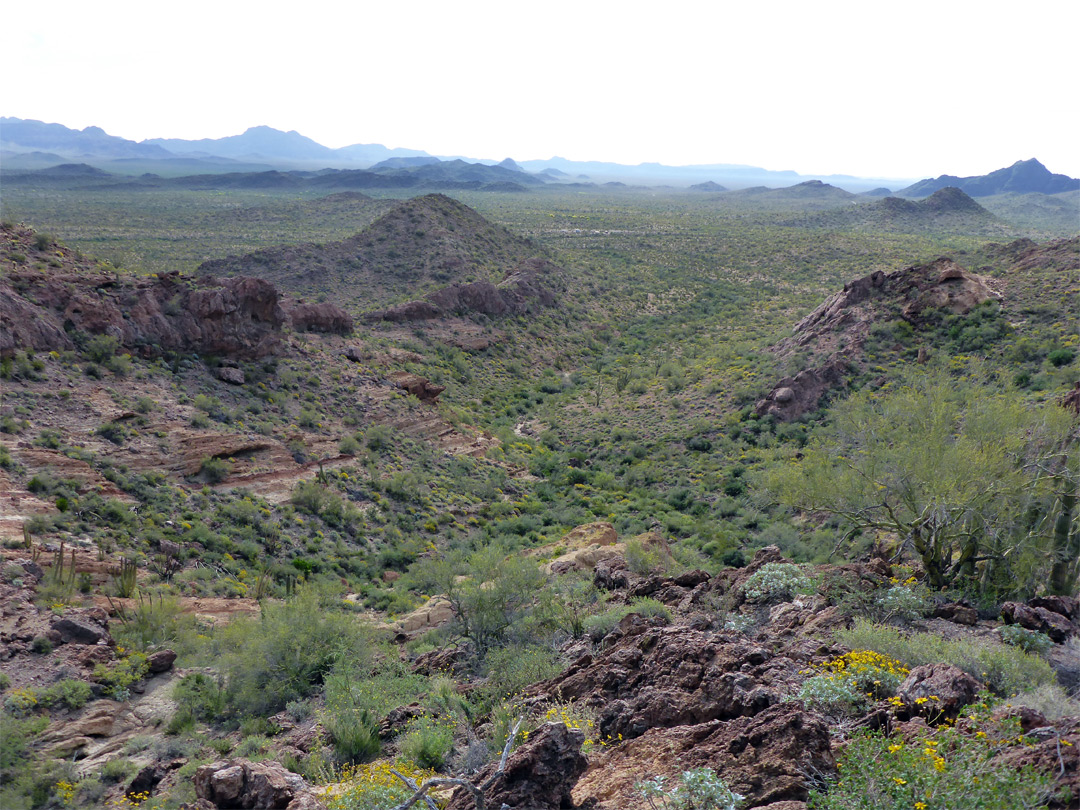 Ravine east of the peak