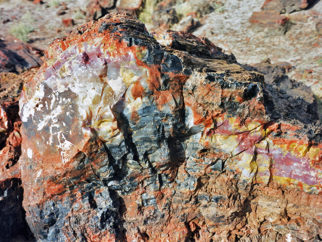 A petrified log