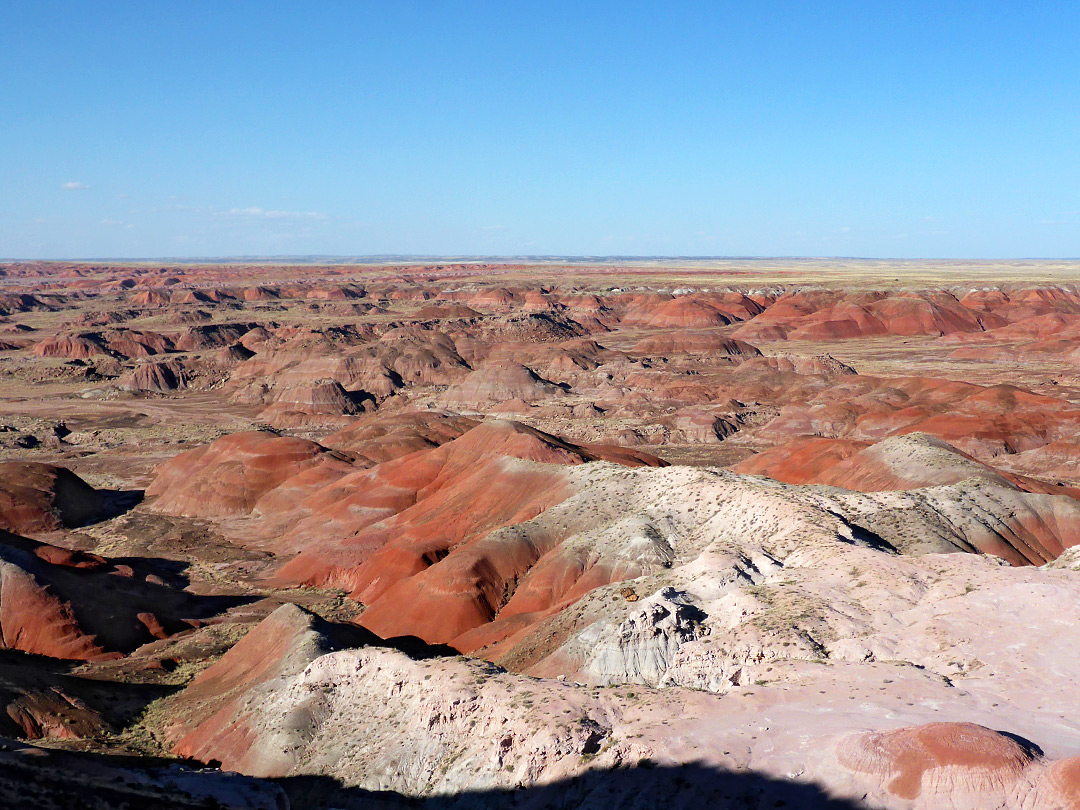 The Painted Desert