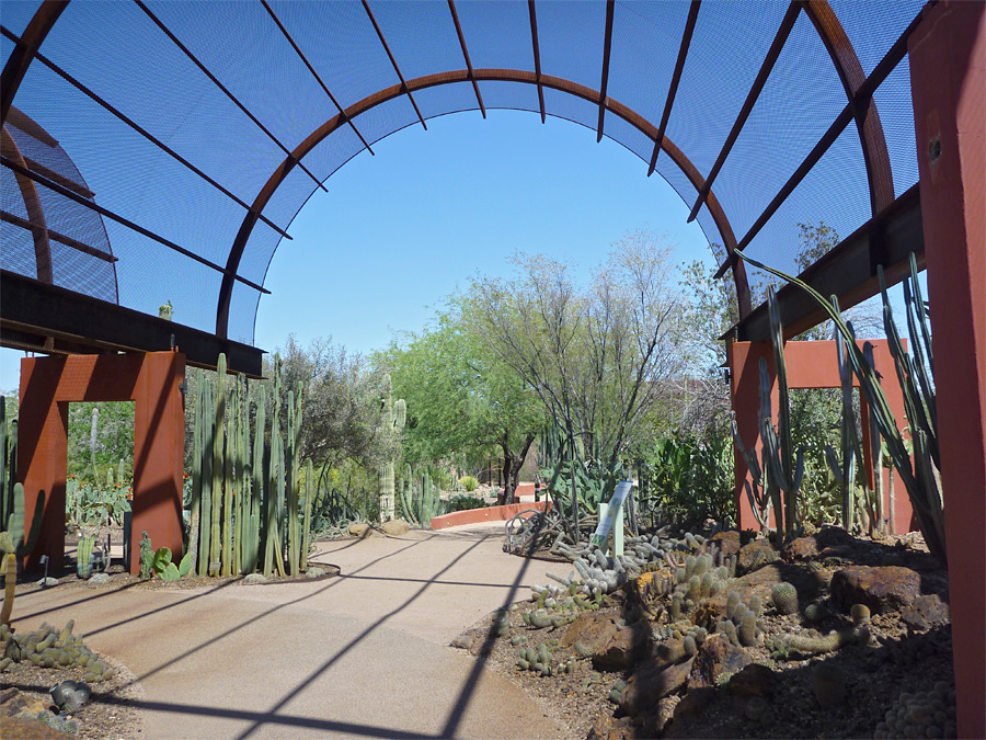 Desert Botanical Garden