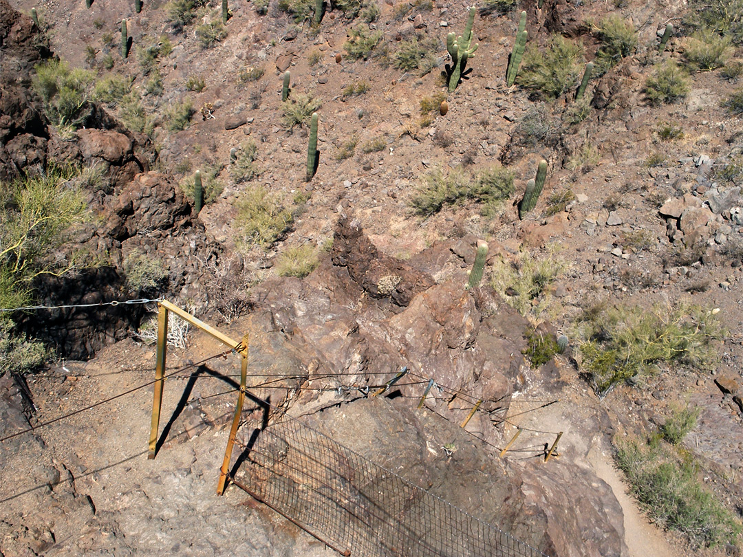 Cables on the trail