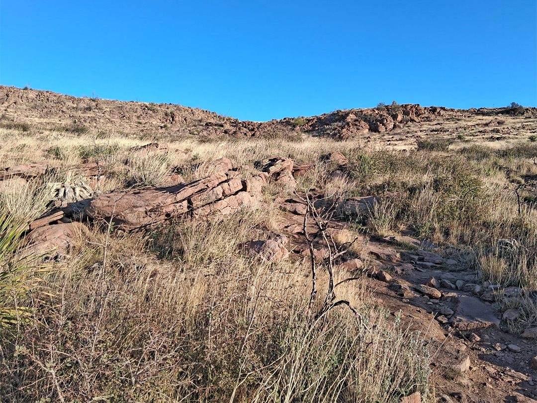 Path near the summit