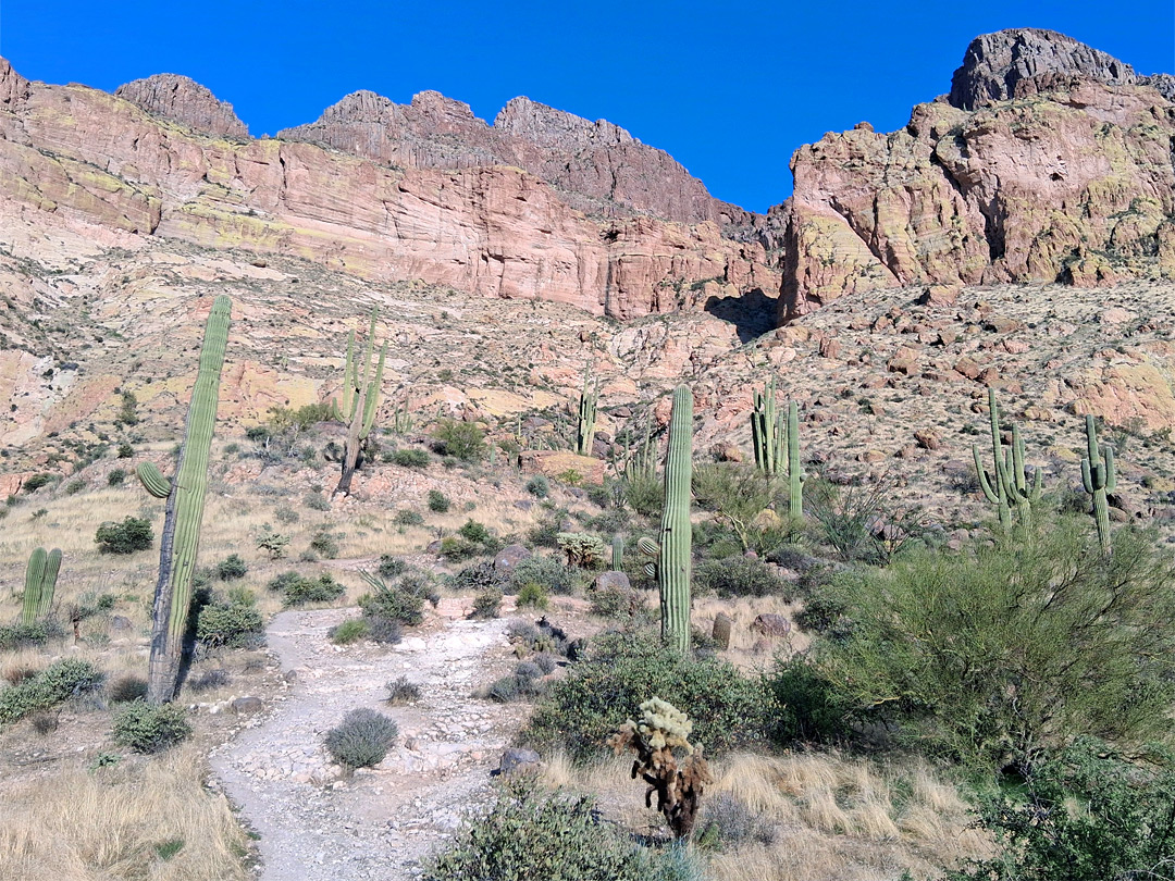 Approaching the mountain