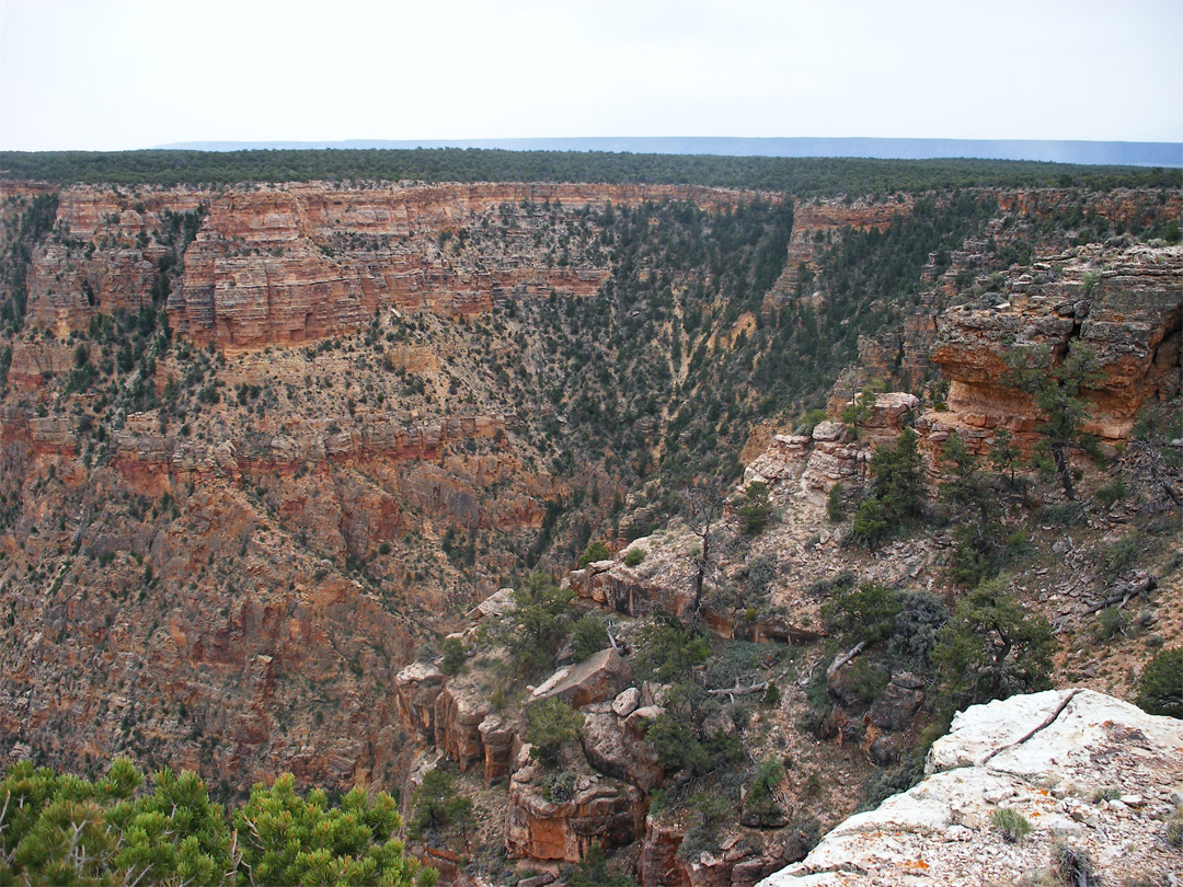 The view southeast