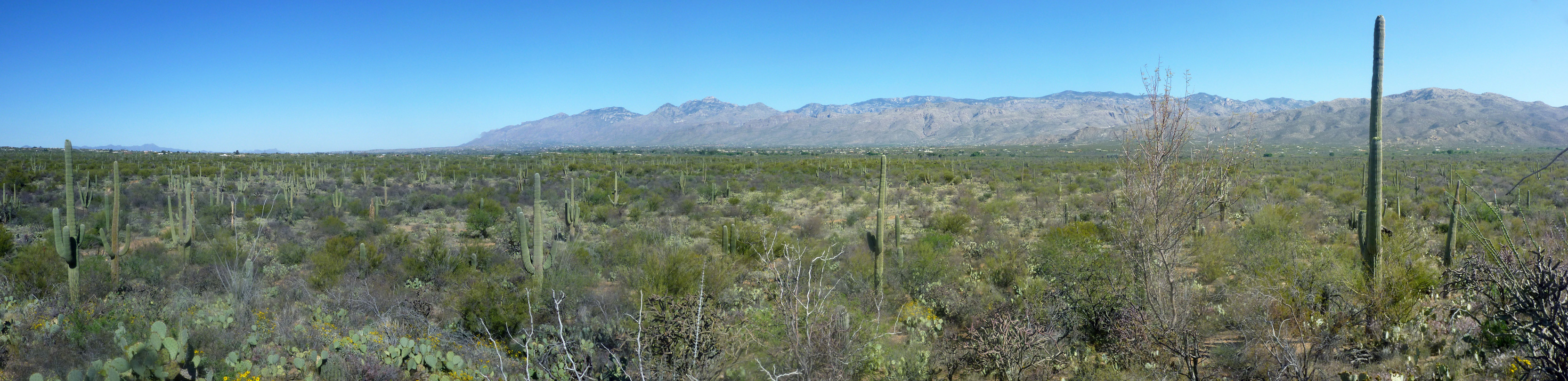 View from Pink Hill