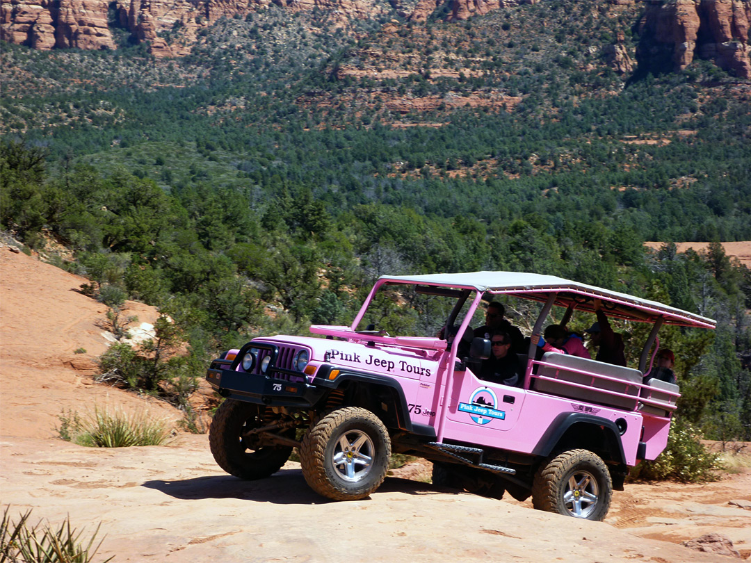 Pink jeep