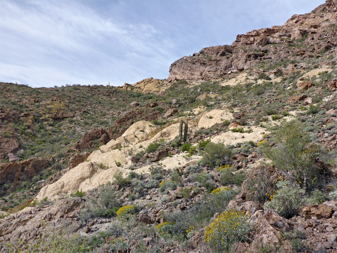 Mountain slopes