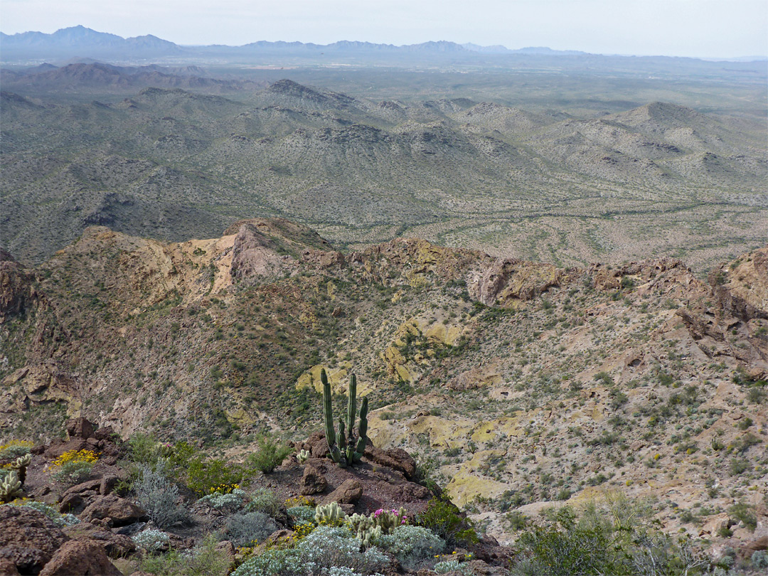 The summit - view south