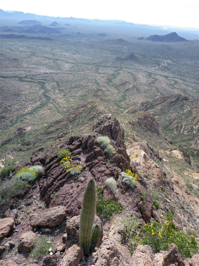 The summit - view southeast