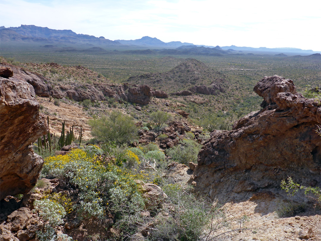 Rocky ravine