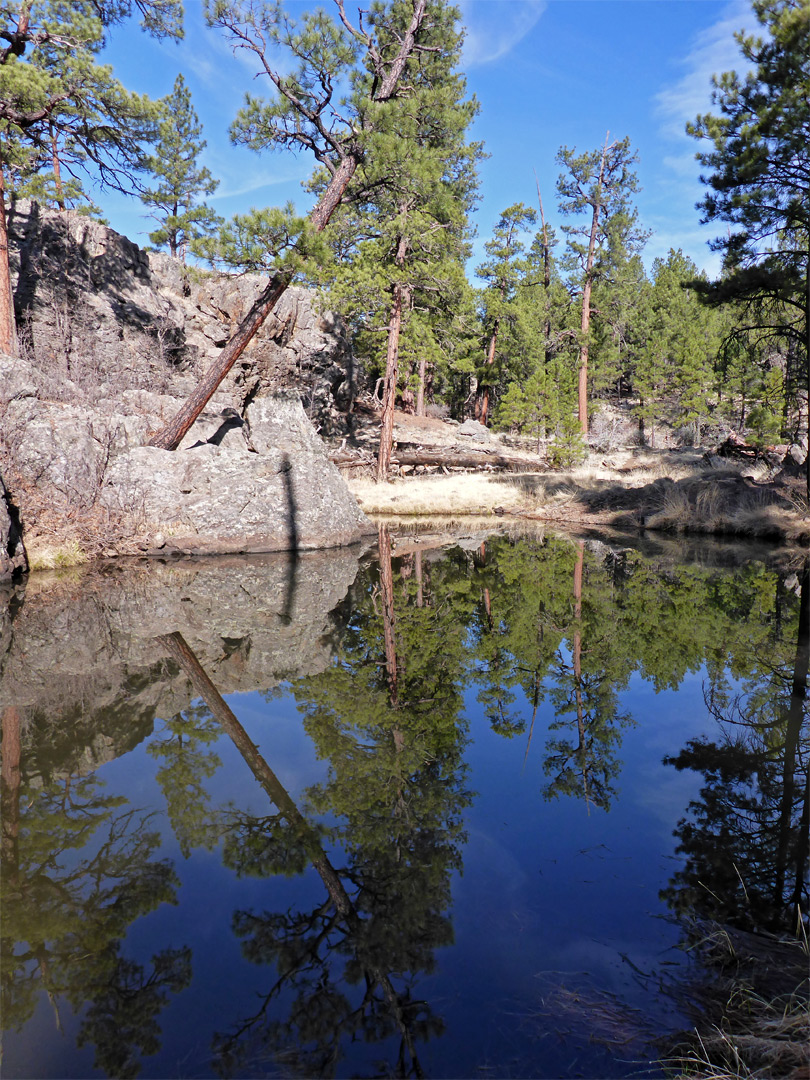 Reflections