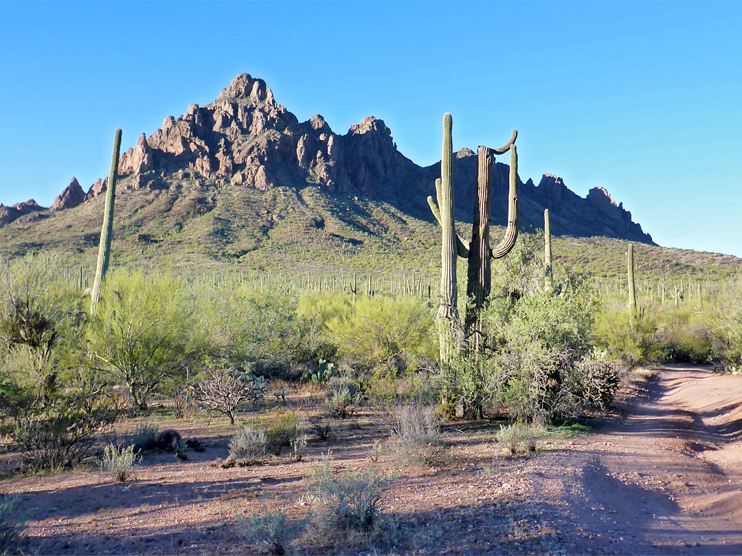The peak, from the north