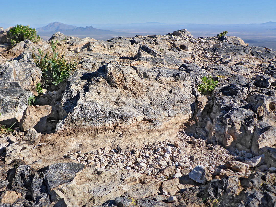Rhyolite