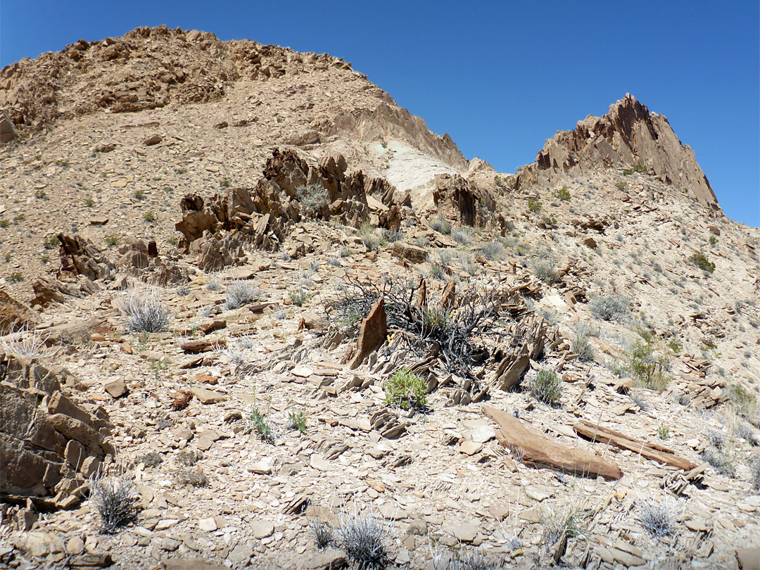 Stony ridge