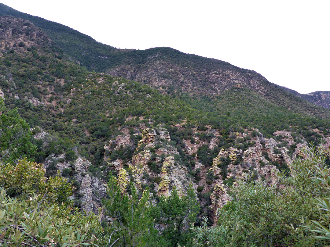 Cliffs