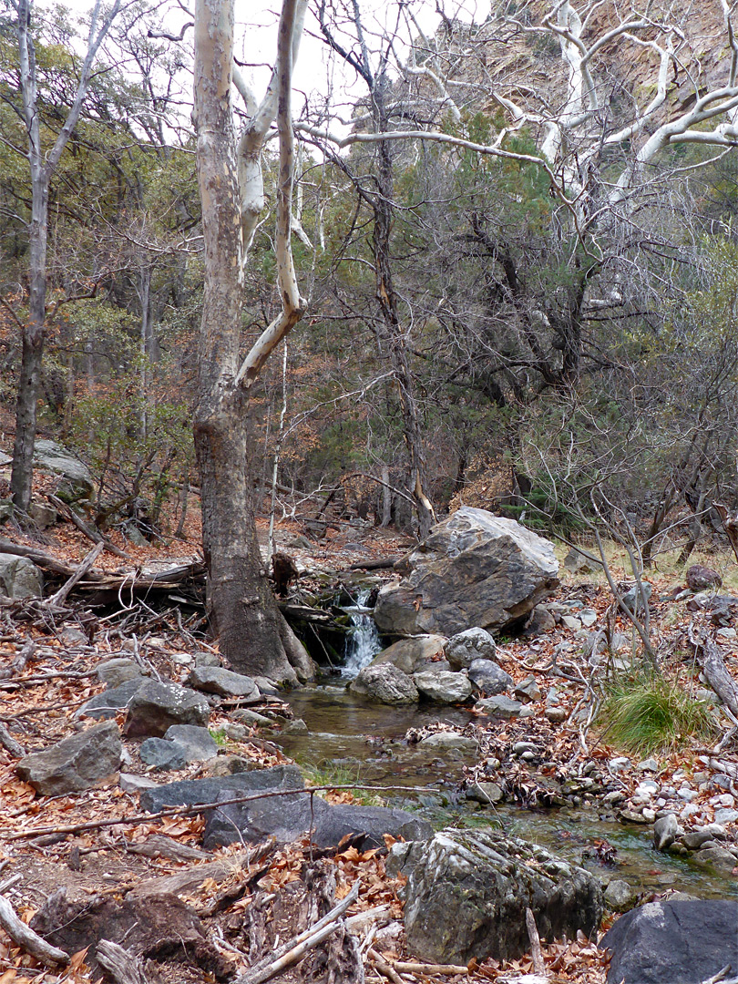 Ramsey Creek