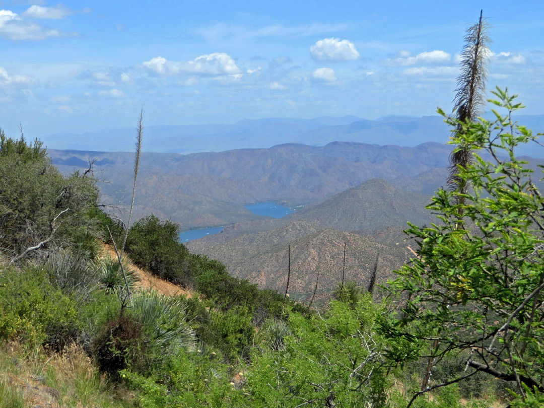 Reavis Ranch Trail