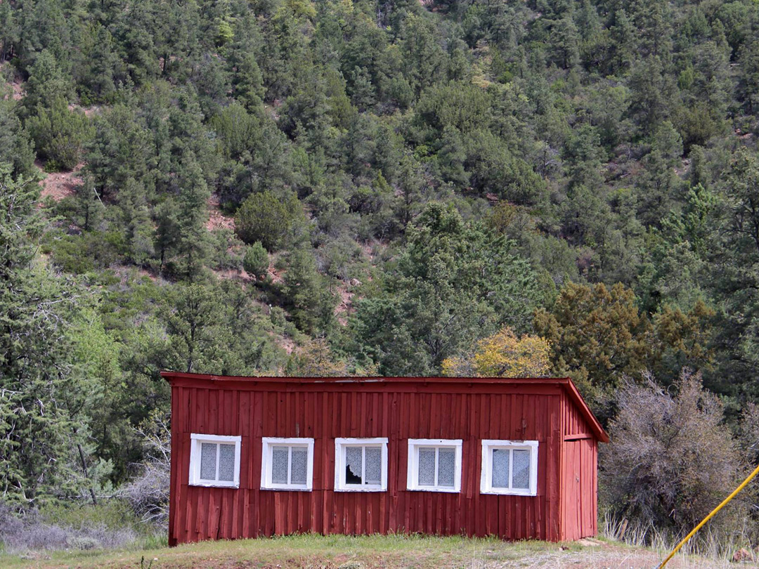 Red cabin near tHe lodge