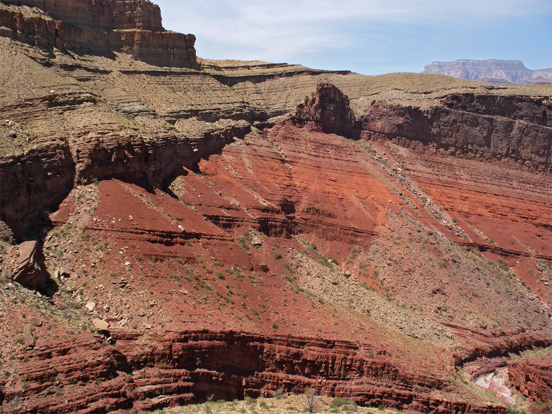 Strata in Red Canyon