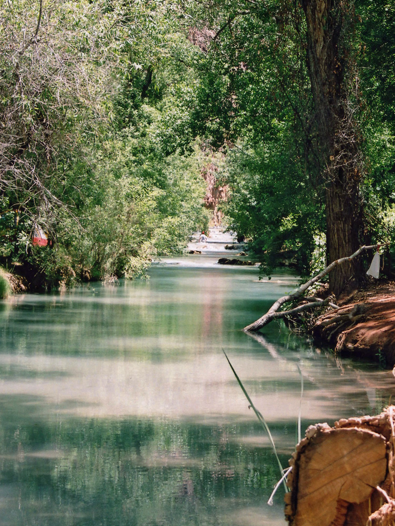 Reflections on Havasu Creek