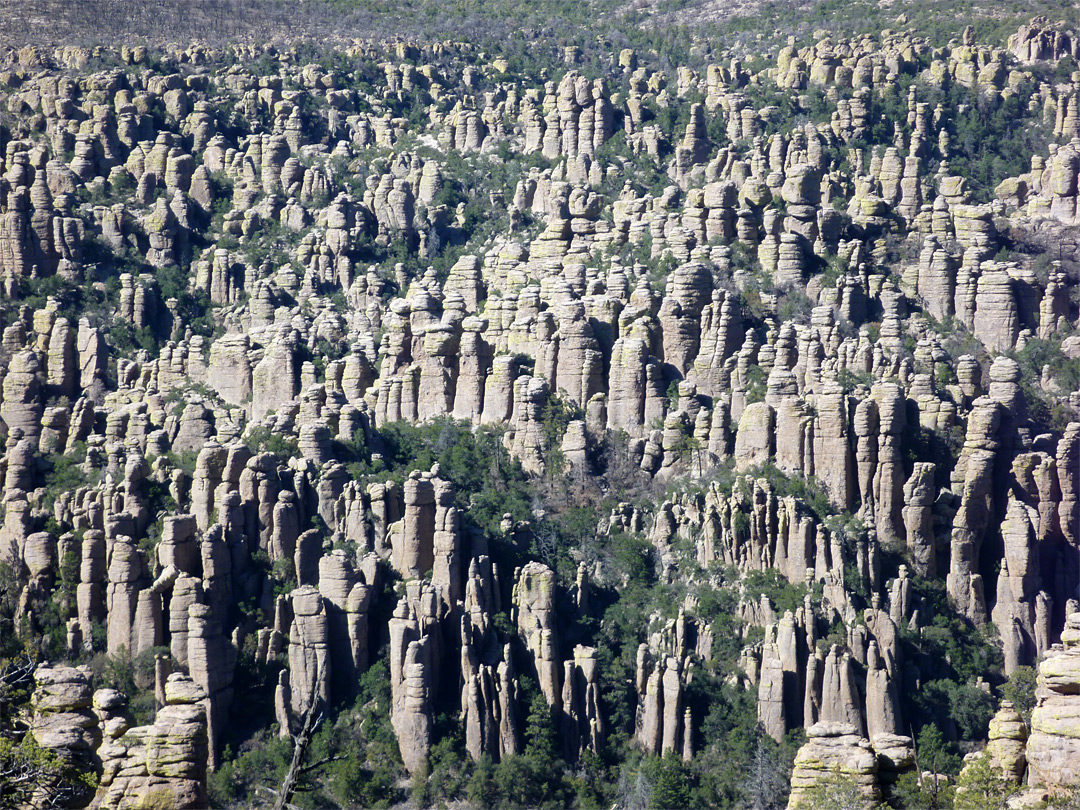 Rocks above Rhyolite Canyon